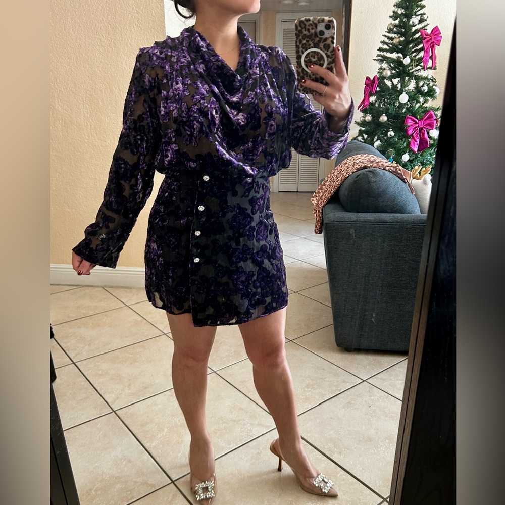 Sheer Velvet Mini Dress – Chic and Glamorous!
